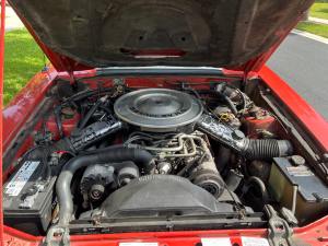 Original-Owner 1985 Ford Mustang GT Hatchback 5-Speed photo 48